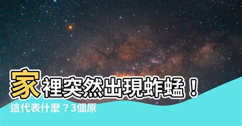 出現蛇|家裡出現蛇：代表什麼，該如何應對？